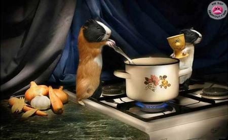 c' pas mignon ça !!!!!